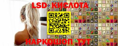 a pvp Славгород