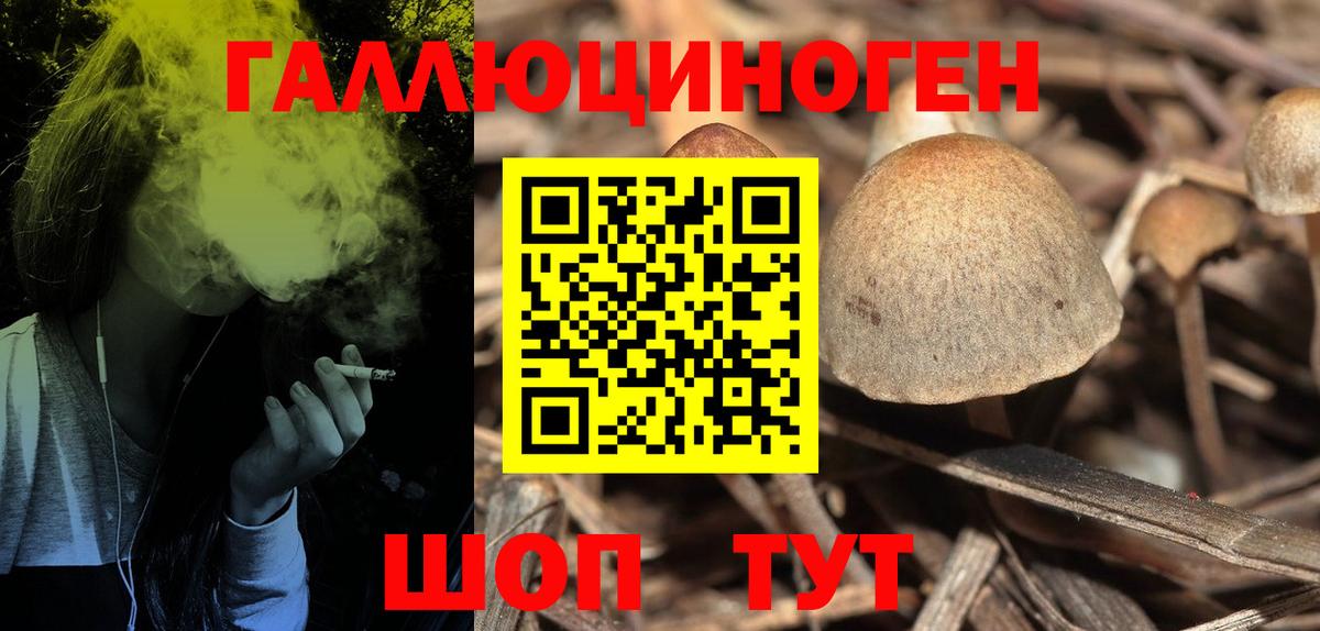 Галлюциногенные грибы Cubensis  Псилоцибиновые грибы Psilocybine cubensis  Артём  Вход с VPN 